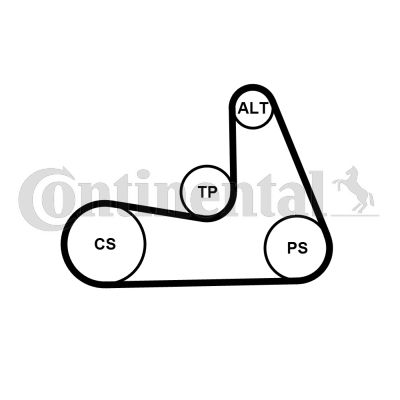 Set curea transmisie cu caneluri