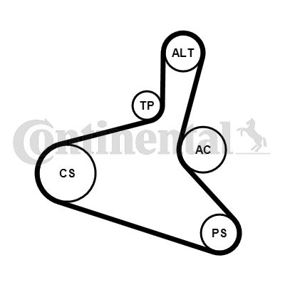 Set curea transmisie cu caneluri