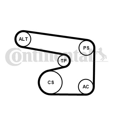 Set curea transmisie cu caneluri