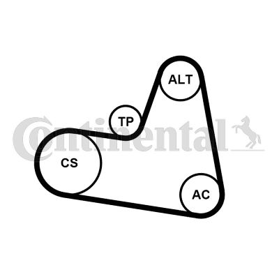 Set curea transmisie cu caneluri