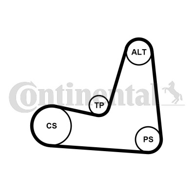 Set curea transmisie cu caneluri