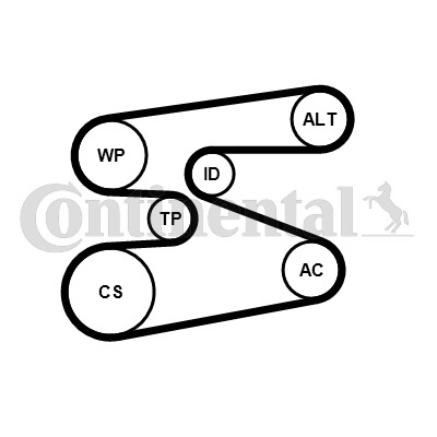 Set curea transmisie cu caneluri