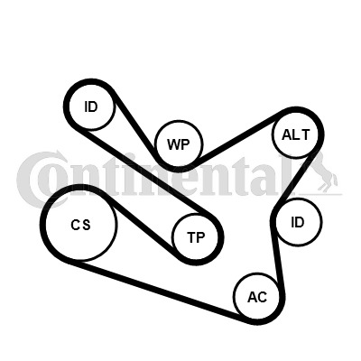 Set curea transmisie cu caneluri