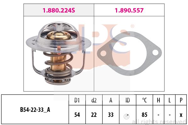 Termostat,lichid racire