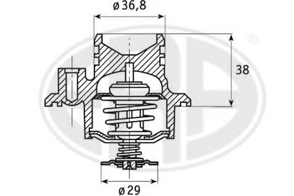 Termostat lichid racire