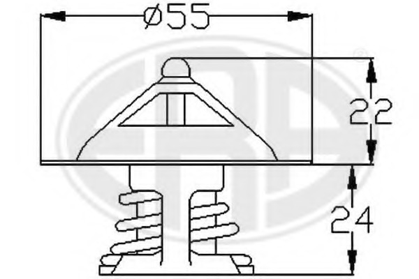 Termostat lichid racire