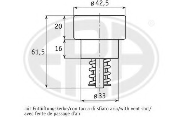 Termostat lichid racire