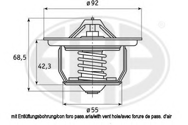 Termostat lichid racire