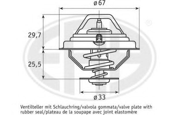 Termostat lichid racire