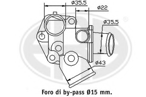 Termostat lichid racire