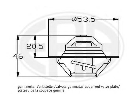 Termostat lichid racire