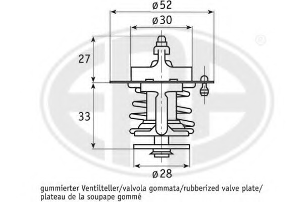 Termostat lichid racire