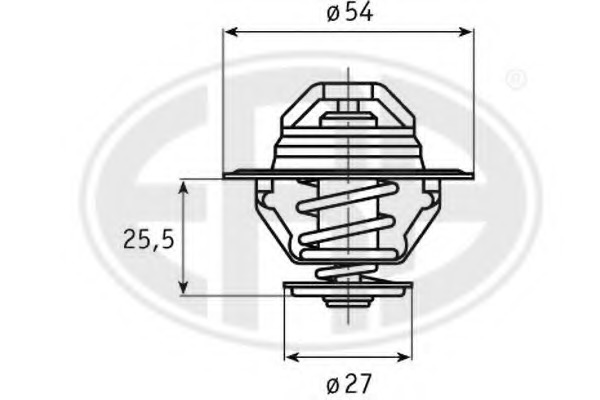 Termostat lichid racire