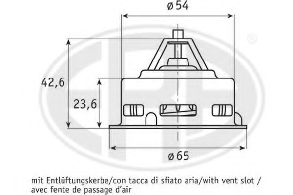 Termostat lichid racire