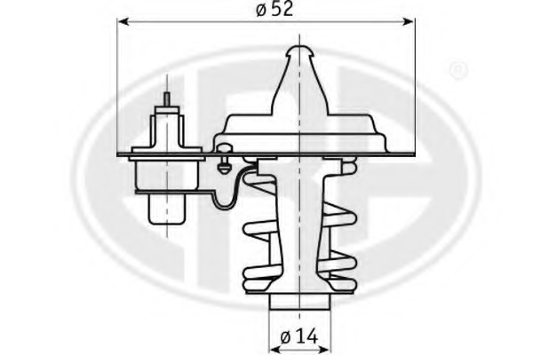 Termostat lichid racire