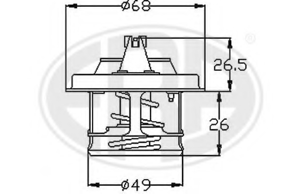 Termostat lichid racire