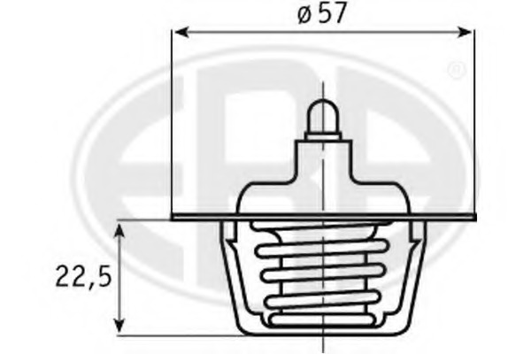 Termostat lichid racire