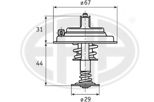 Termostat lichid racire