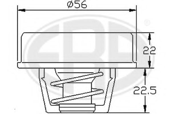 Termostat lichid racire