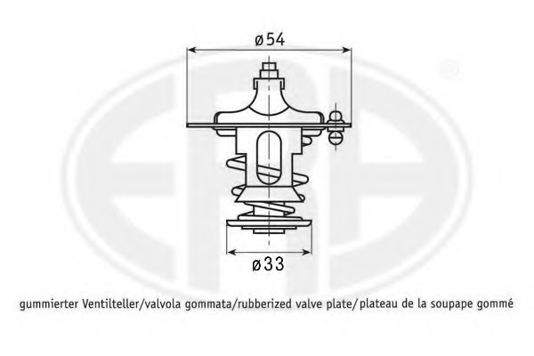 Termostat lichid racire