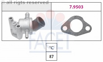 Termostat lichid racire