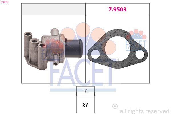 Termostat lichid racire