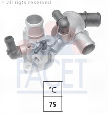 Termostat lichid racire