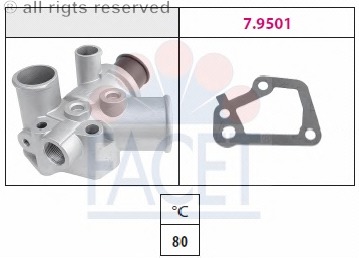 Termostat lichid racire