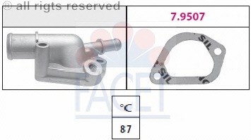 Termostat lichid racire