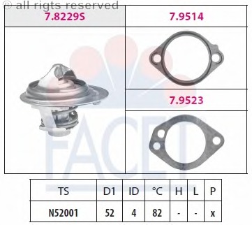 Termostat lichid racire