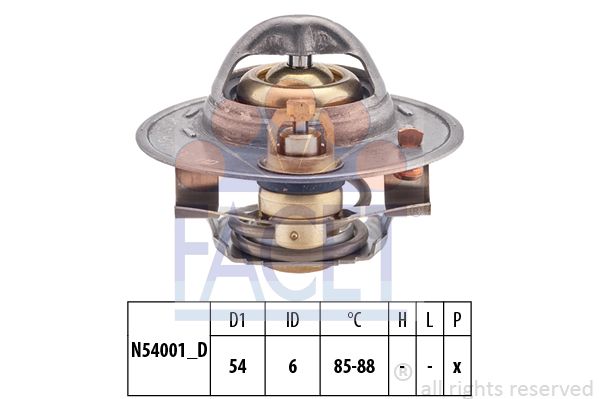 Termostat lichid racire