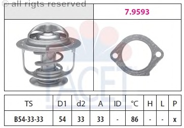 Termostat lichid racire