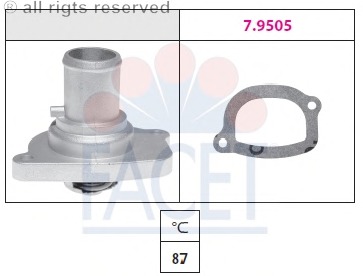 Termostat lichid racire