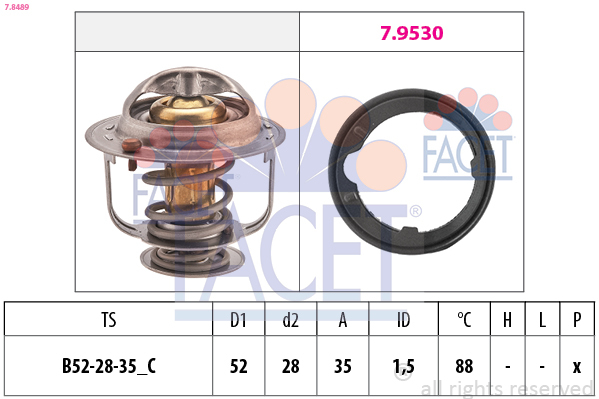 Termostat lichid racire