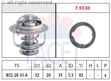 Termostat lichid racire