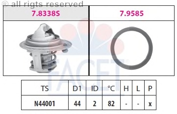 Termostat lichid racire