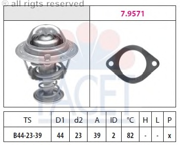 Termostat lichid racire