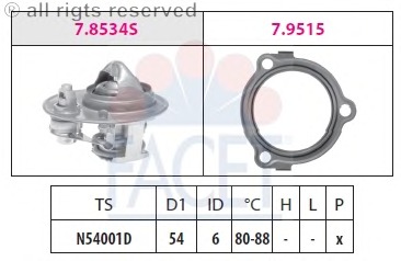 Termostat lichid racire