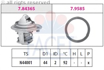 Termostat lichid racire