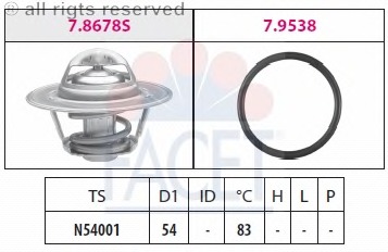 Termostat lichid racire