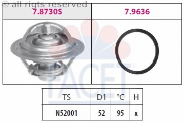 Termostat lichid racire