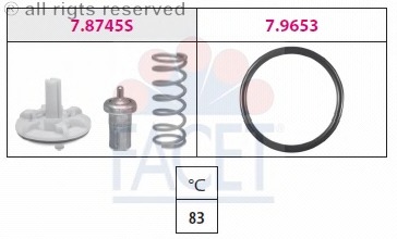 Termostat lichid racire