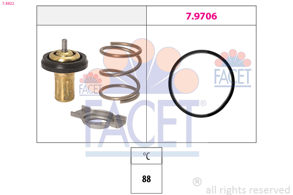 Termostat lichid racire