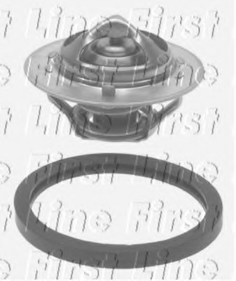 Termostat lichid racire