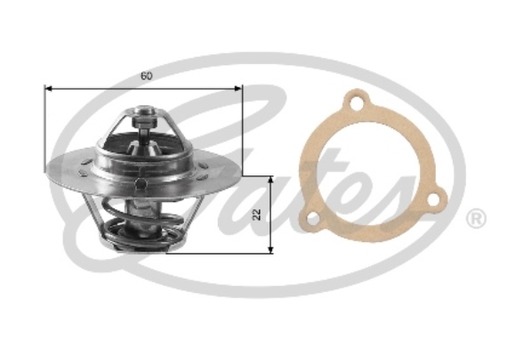 Termostat lichid racire