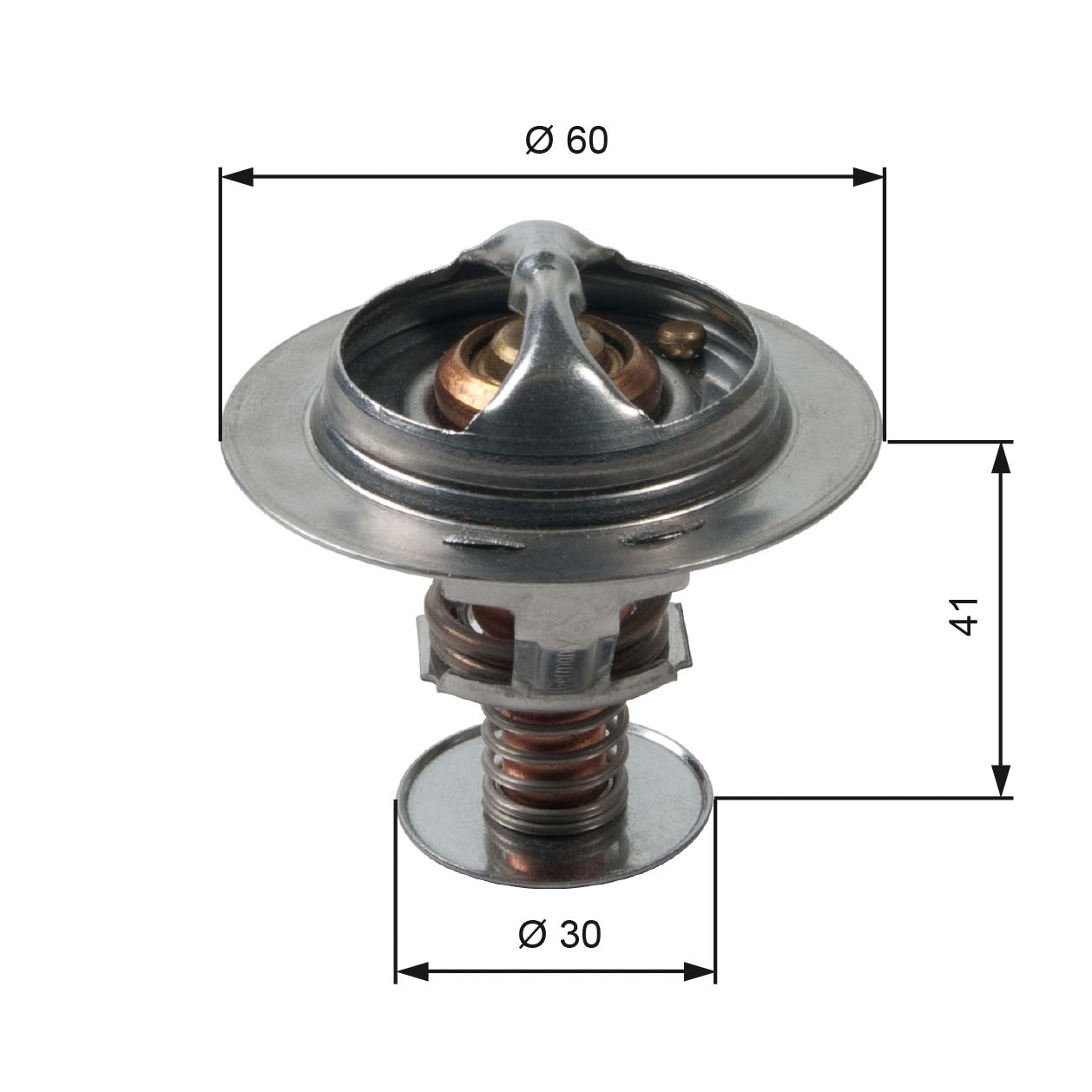 Termostat lichid racire