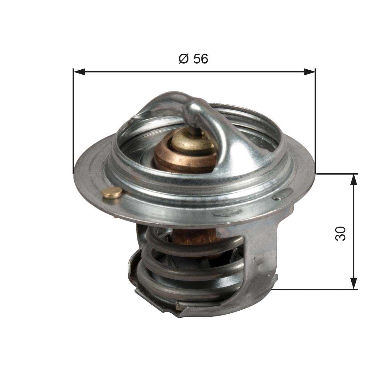 Termostat lichid racire