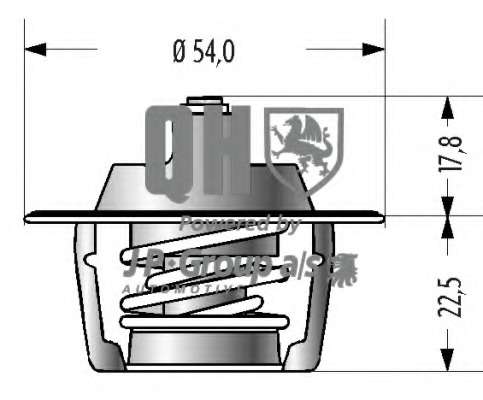 Termostat lichid racire