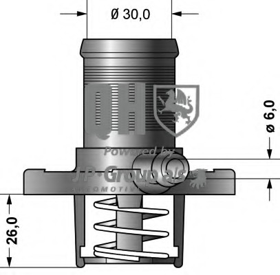 Termostat lichid racire