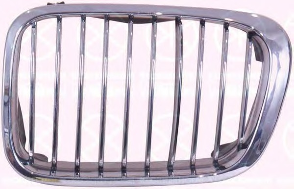 Grila radiator